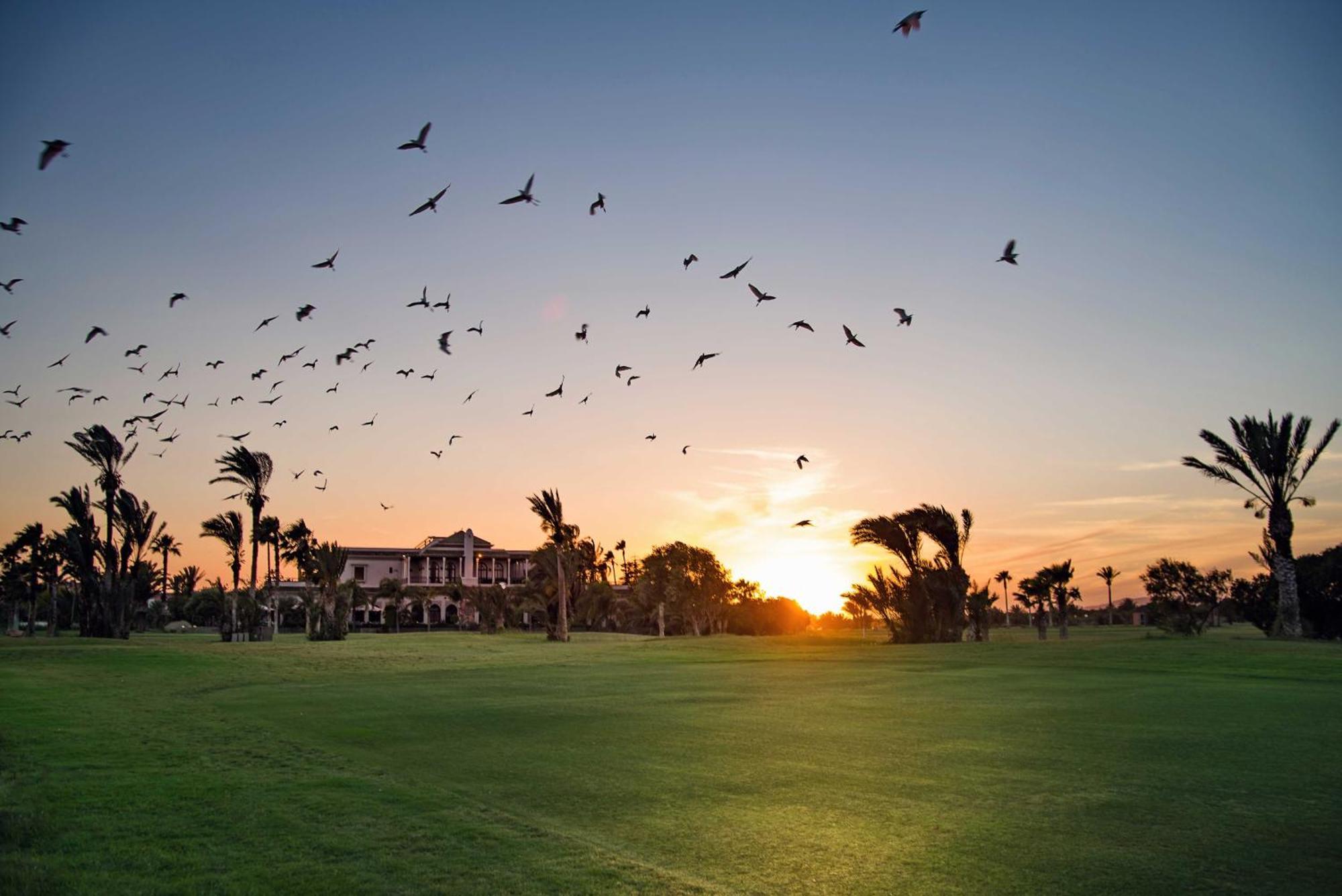 Pickalbatros Hotel Du Golf - Adults Friendly 16 Years Plus- All-Inclusive Marrákes Kültér fotó
